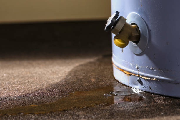 Best Fire Damage Restoration  in Evergreen, CO