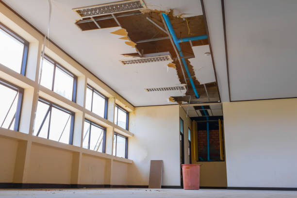 Best Flood damage cleanup  in Evergreen, CO