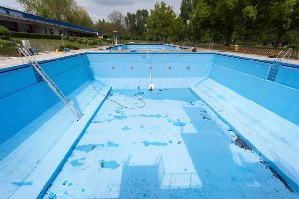 Best Water damage mitigation services  in Evergreen, CO