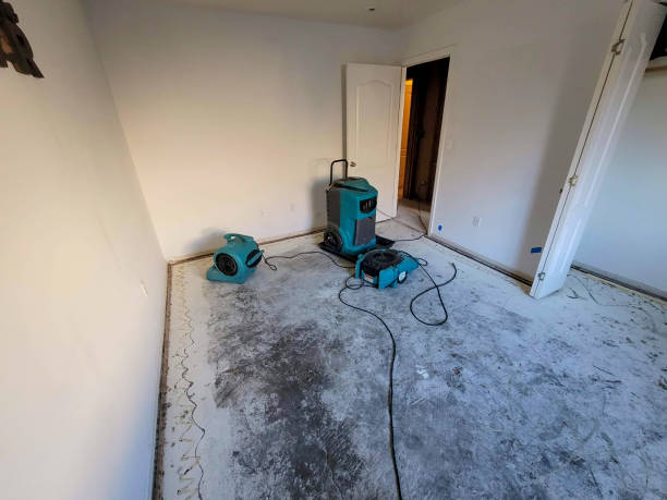 Best 24-hour water damage restoration  in Evergreen, CO