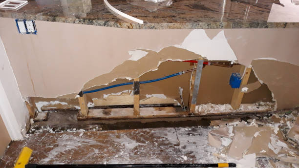 Best Local water damage restoration  in Evergreen, CO