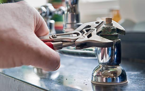 Best Professional water damage repair  in Evergreen, CO