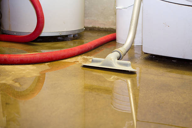 Best Flood damage cleanup  in Evergreen, CO